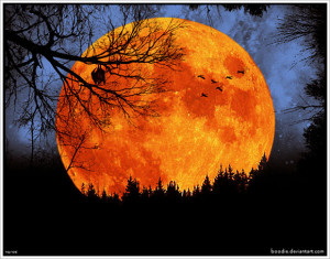 HarvestMoon