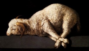 Passover-Lamb