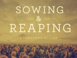 sowing-reaping