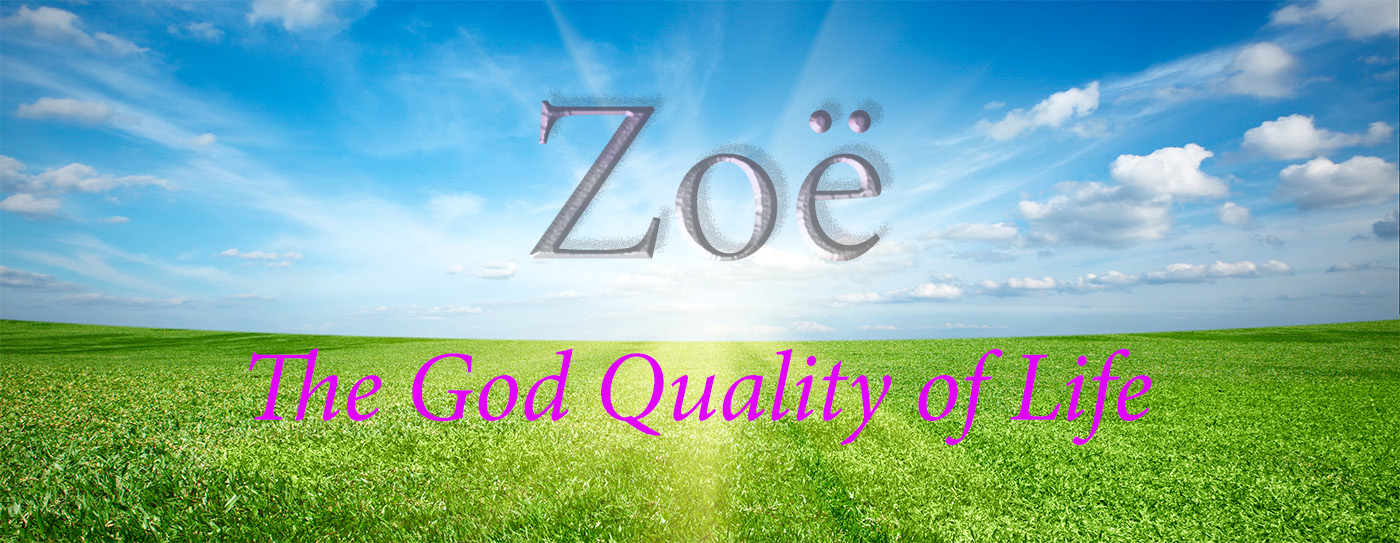 zoe-the-god-quality-of-life-2-web